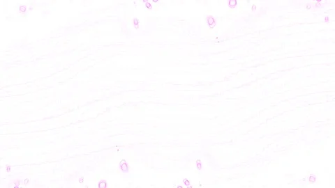 Violet particles on white background Video stock 126024449