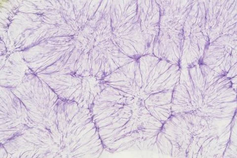 Violet pattern Stock Photos