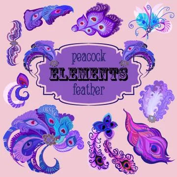 Violet peacock feathers design elements set. 스톡 일러스트