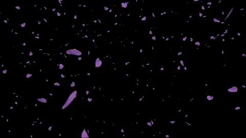 Violet Petals Alpha-Channel Video stock 71963519