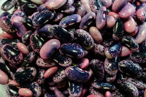 Violet pink beans, background Stock Photos