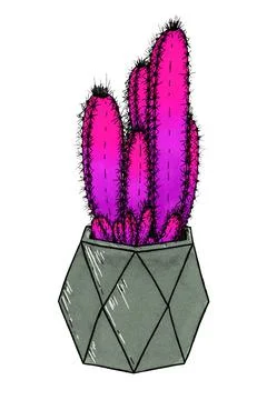 Violet-pink cactus in a gray geometric pot on a white background illustration Stock Illustration