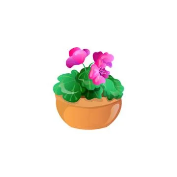 Violet in the pot. Raster illustration in flat cartoon style Stock Illustration