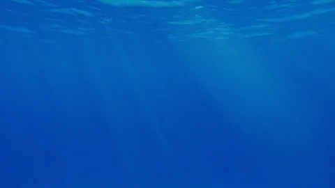 Violet sea surface shot underwater with shining traces of sunny rays in slo-mo Stock Footage 103193091