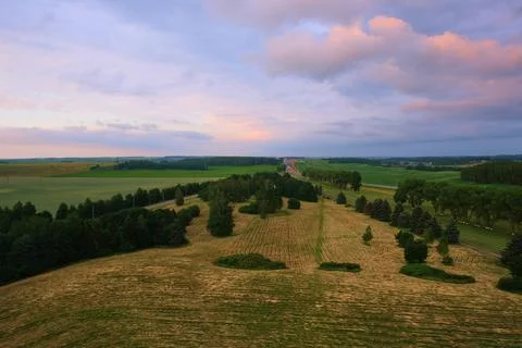 Violet sky with clouds over the field and forest belt Stock Photos