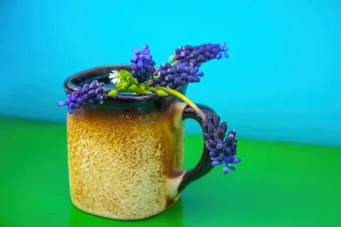 Violet spring flowers in the cup Stock Photos