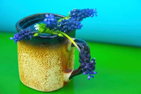 Violet spring flowers in the cup Stock Photos