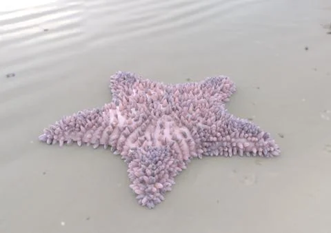 Violet starfish on sandy beach 3d illustration Stock Illustration