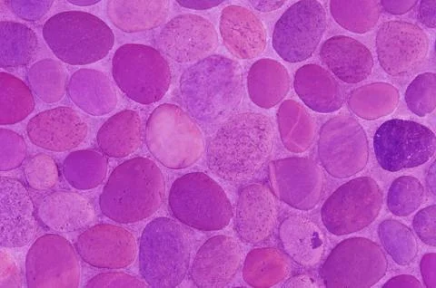 Violet stone background Stock-Fotos