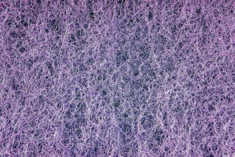 Violet texture abrasive sponge close up scrub face Stock Photos