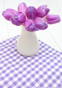 Violet tulips Stock Photos