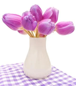 Violet tulips Stock Photos