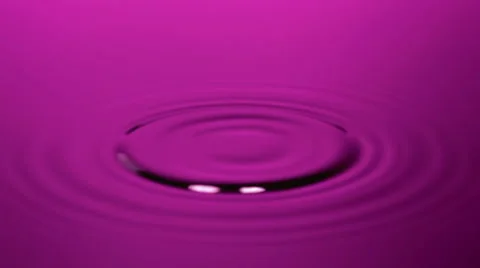 Violet water drops Stock Footage 987870