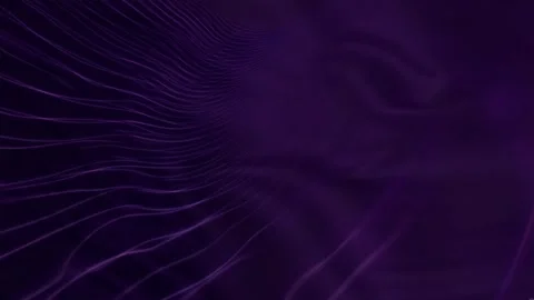 Violet Waves — Soft Pulsing Lines Video stock 312165773