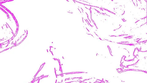 Violet waves on a white background Stock Footage 125702060