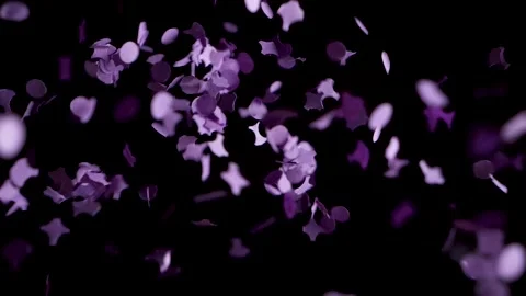 Violett confetti falling in slowmotion into black background Stock Footage 146894517