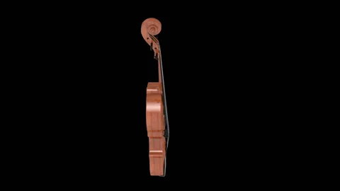 Violin . 3D rotation 動画素材 122313067