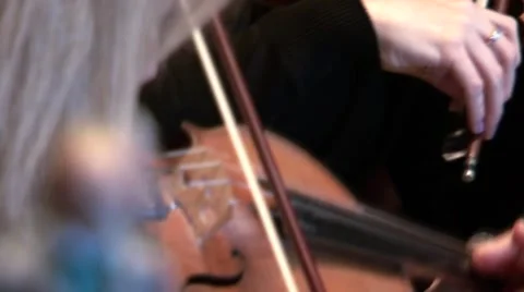 The violin being played at a wedding Stock Footage 48499648