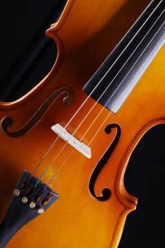 Violin on a black background Stock Photos
