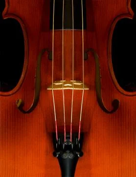 Violin on black Stock Photos