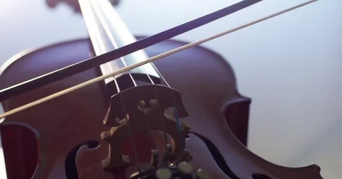 Violin bow drawn across strings. White Background Stock Footage 73968594