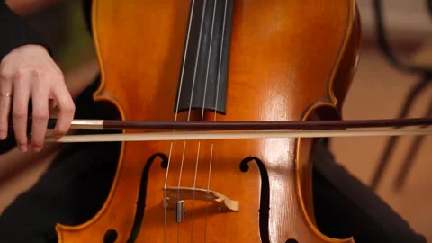Violin with bow resting on strings close up 库存影片 347813744