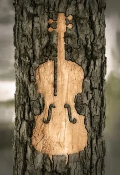 Violin carved into the bark of a tree Stock Illustration