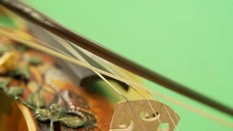 Violin close-up on a green background 스톡 동영상 201054485
