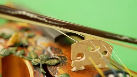 Violin close-up on a green background Stock Footage 201055353