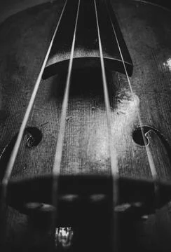 Violin close up Stock Photos