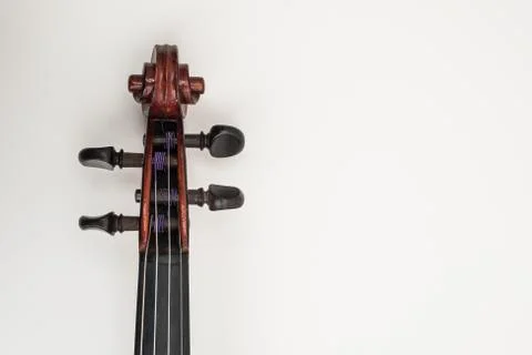 Violin Close Up View on White Background Stock Photos