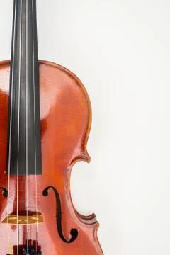 Violin Close Up View on White Background Stock Photos