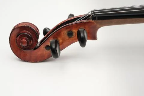 Violin Close Up View on White Background Stock Photos