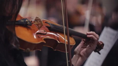 Violin concert Stock Footage 46320664