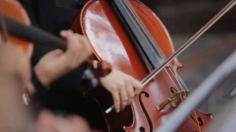 Violin concert Vídeo Stock 100042995