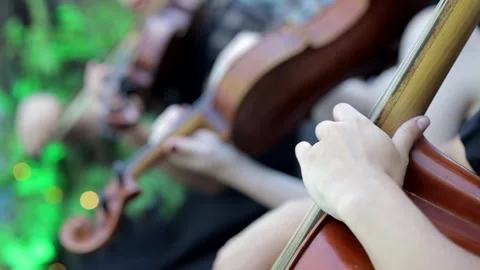 Violin concert Stock Footage 281941074
