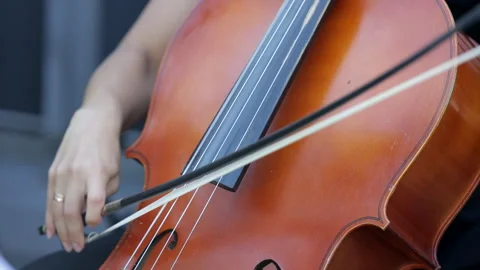 Violin concert Stock Footage 282789633