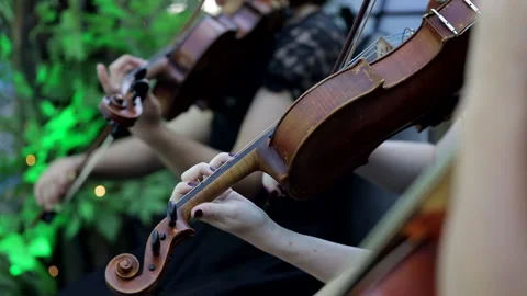 Violin concert Stock Footage 282789682