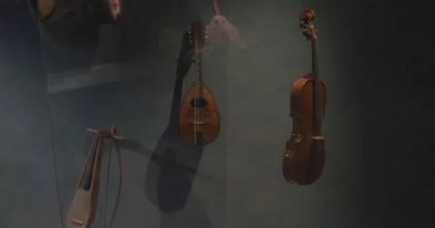 Violin evolution Stock Footage 62759652