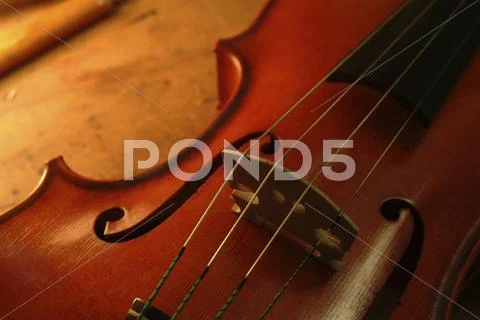 Violin, F-Holes And Strings