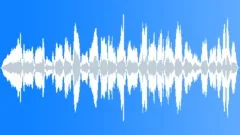 Violin false playingSound Effect