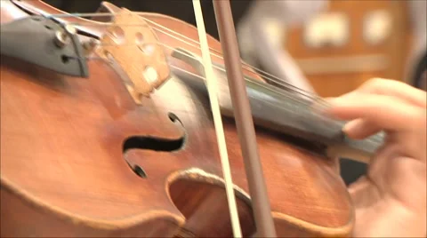 Violin Stock-Footage 1007520
