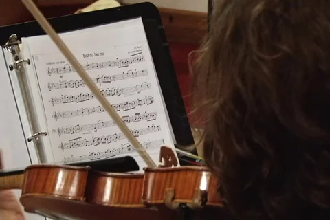 Violin 動画素材 1068726