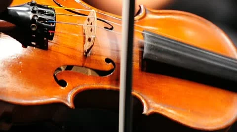 Violin Stock Footage 11728597