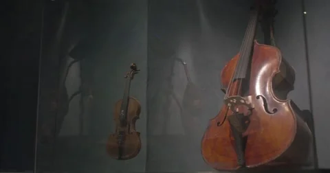 Violin Stock Footage 62759644