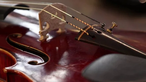 Violin Stock Footage 83446244