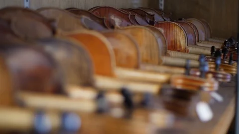 Violin Stock Footage 108116951