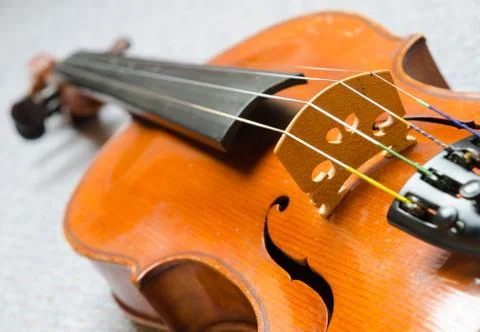 Violin on Grey Stock Photos