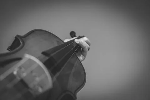 Violin with a hand Foto stock