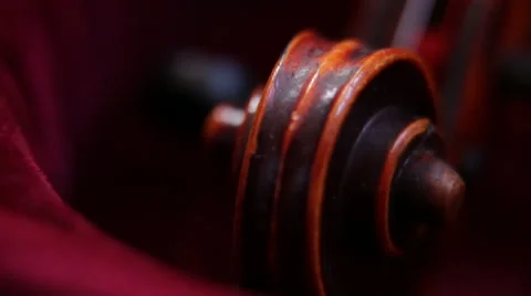 Violin head macro lens Video stock 37262282